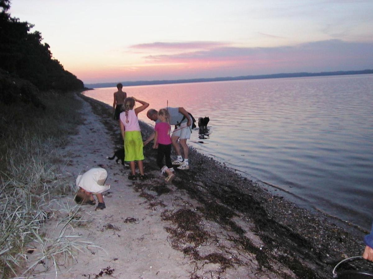 Stutteri Ahl Near Beach And Town Ebeltoft Εξωτερικό φωτογραφία