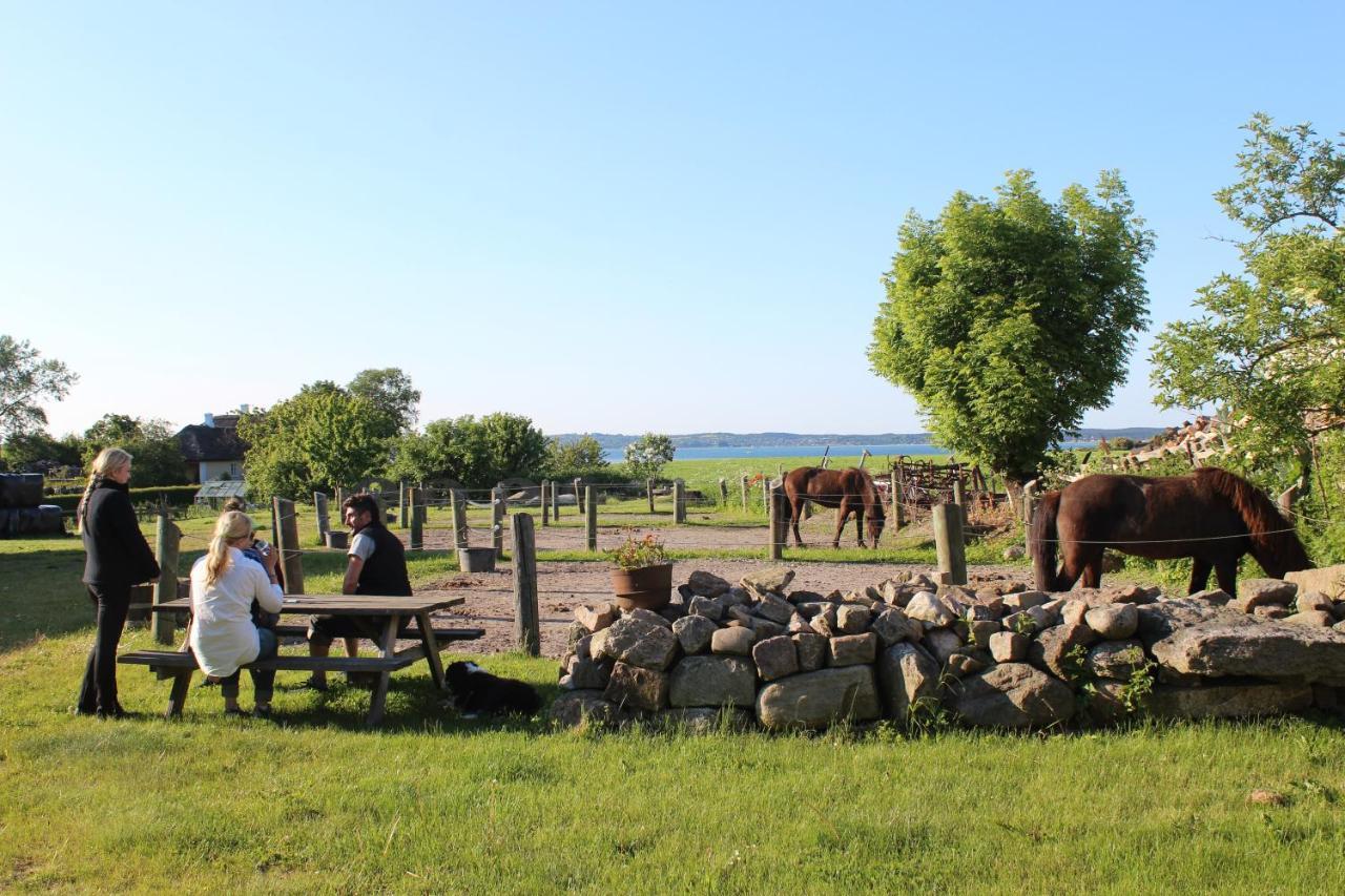 Stutteri Ahl Near Beach And Town Ebeltoft Εξωτερικό φωτογραφία
