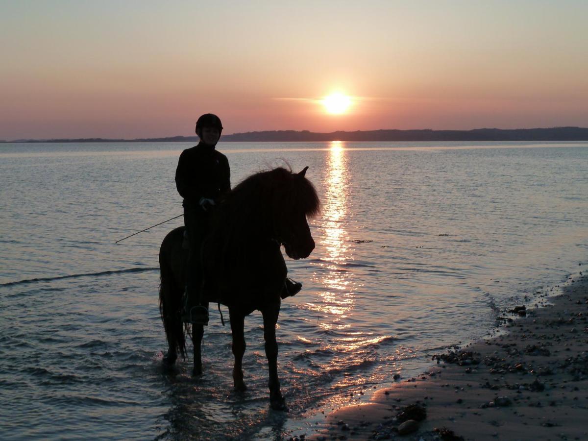 Stutteri Ahl Near Beach And Town Ebeltoft Εξωτερικό φωτογραφία